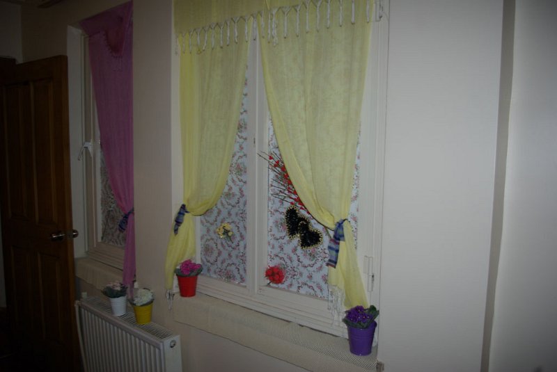 IMGP0025.jpg