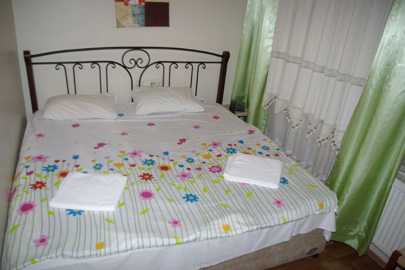 IMGP0029.jpg